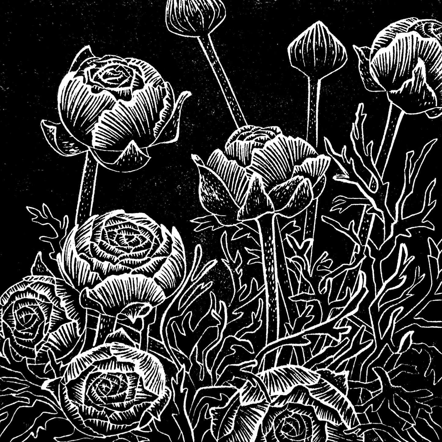 Ranunculus linocut on natural lokta paper