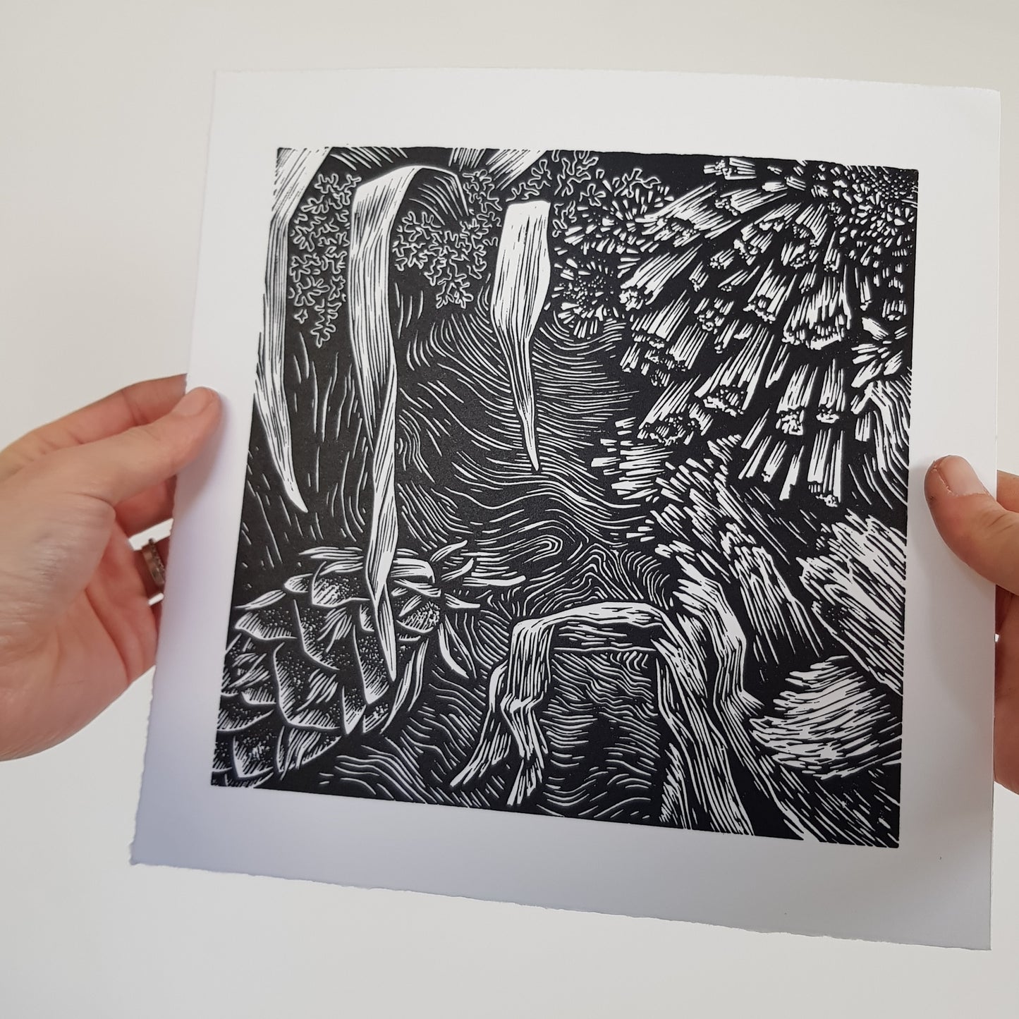 Tree Stump linocut on white