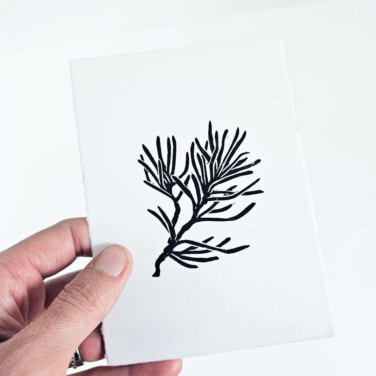 Evergreen Leaves linocut