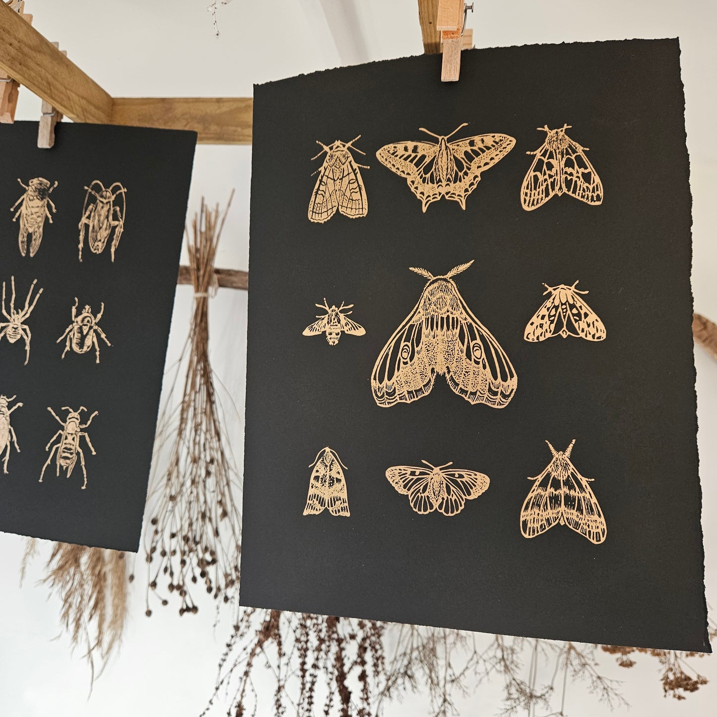 Moths and butterflies linocut gold on black