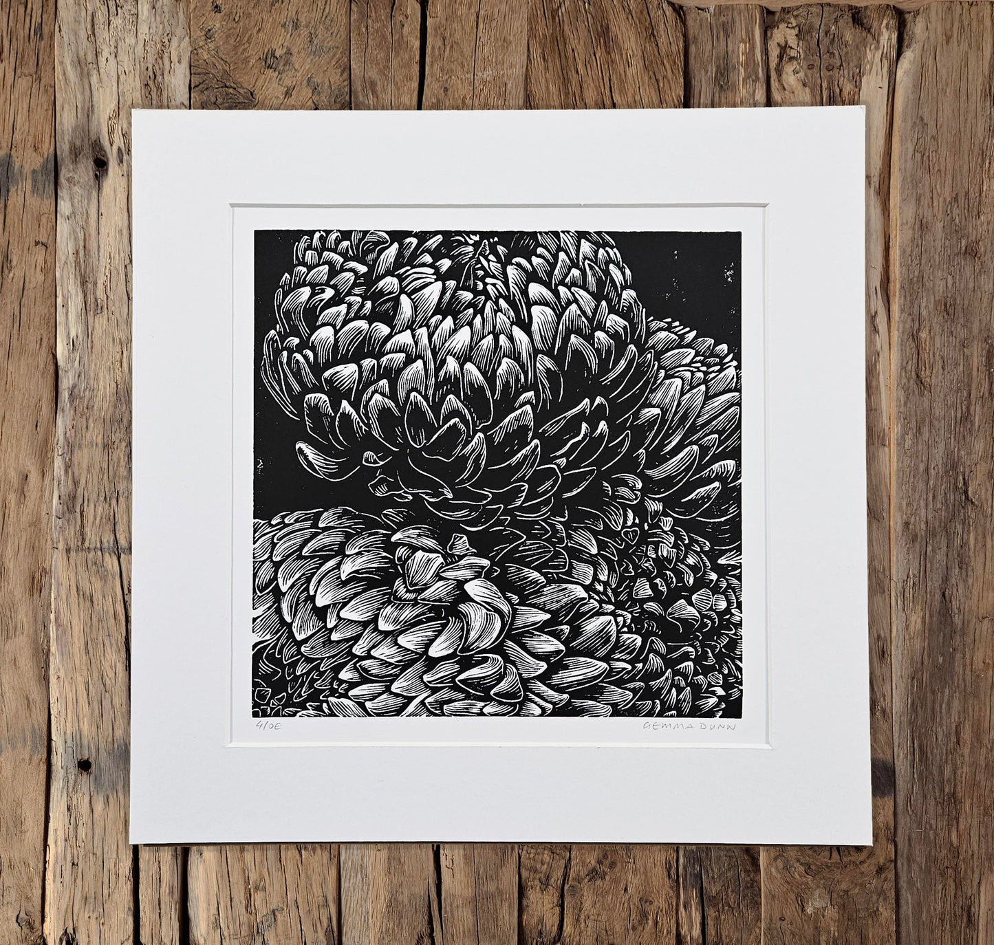 Chrysanthemums linocut