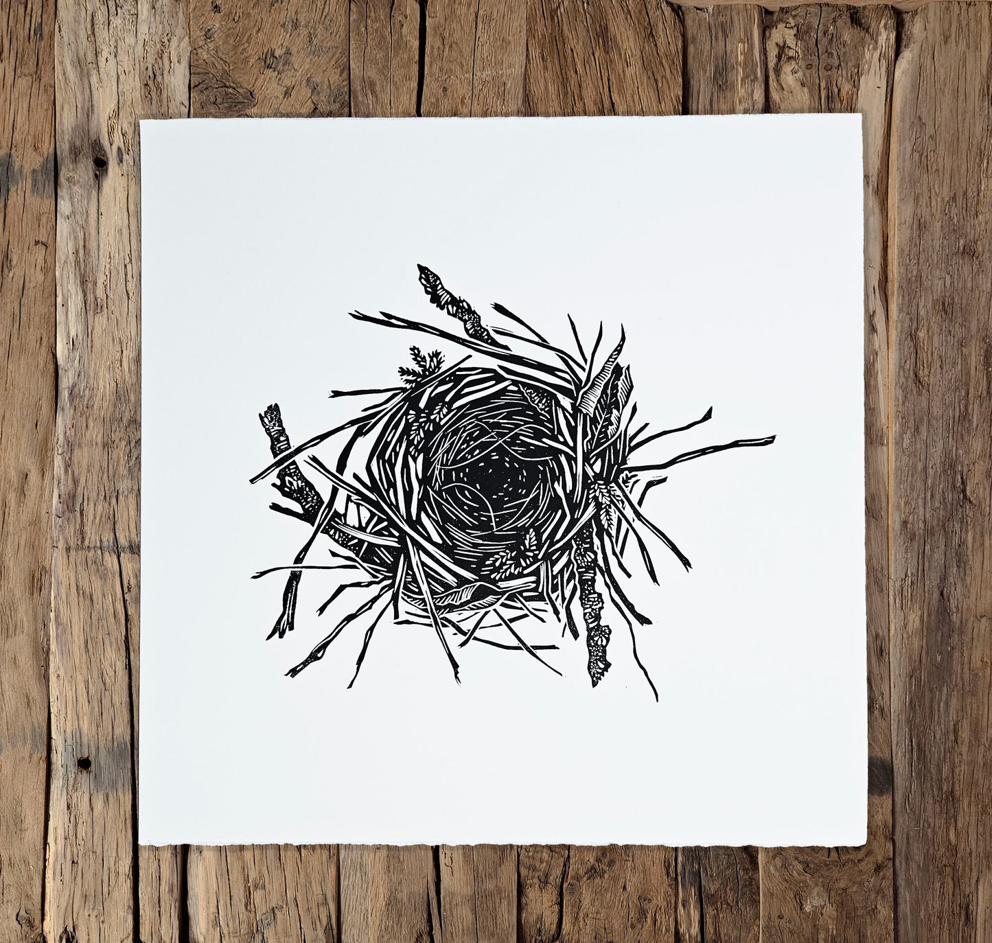Nest linocut on white