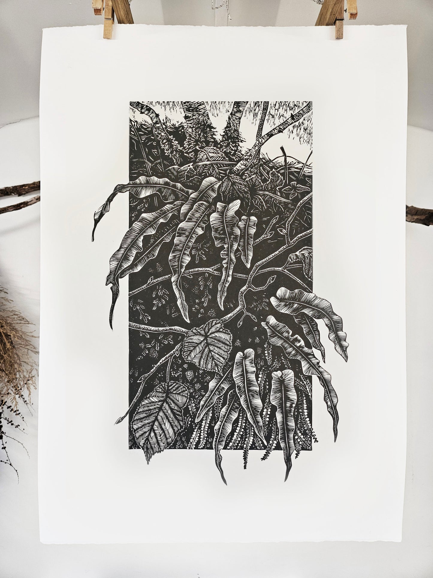 Hart's Fern linocut