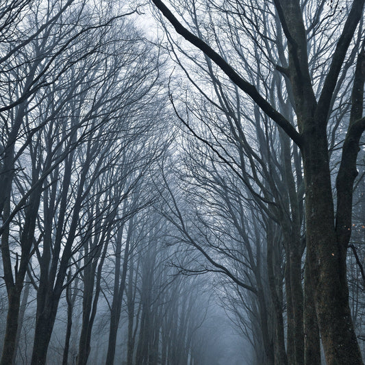 Dormant