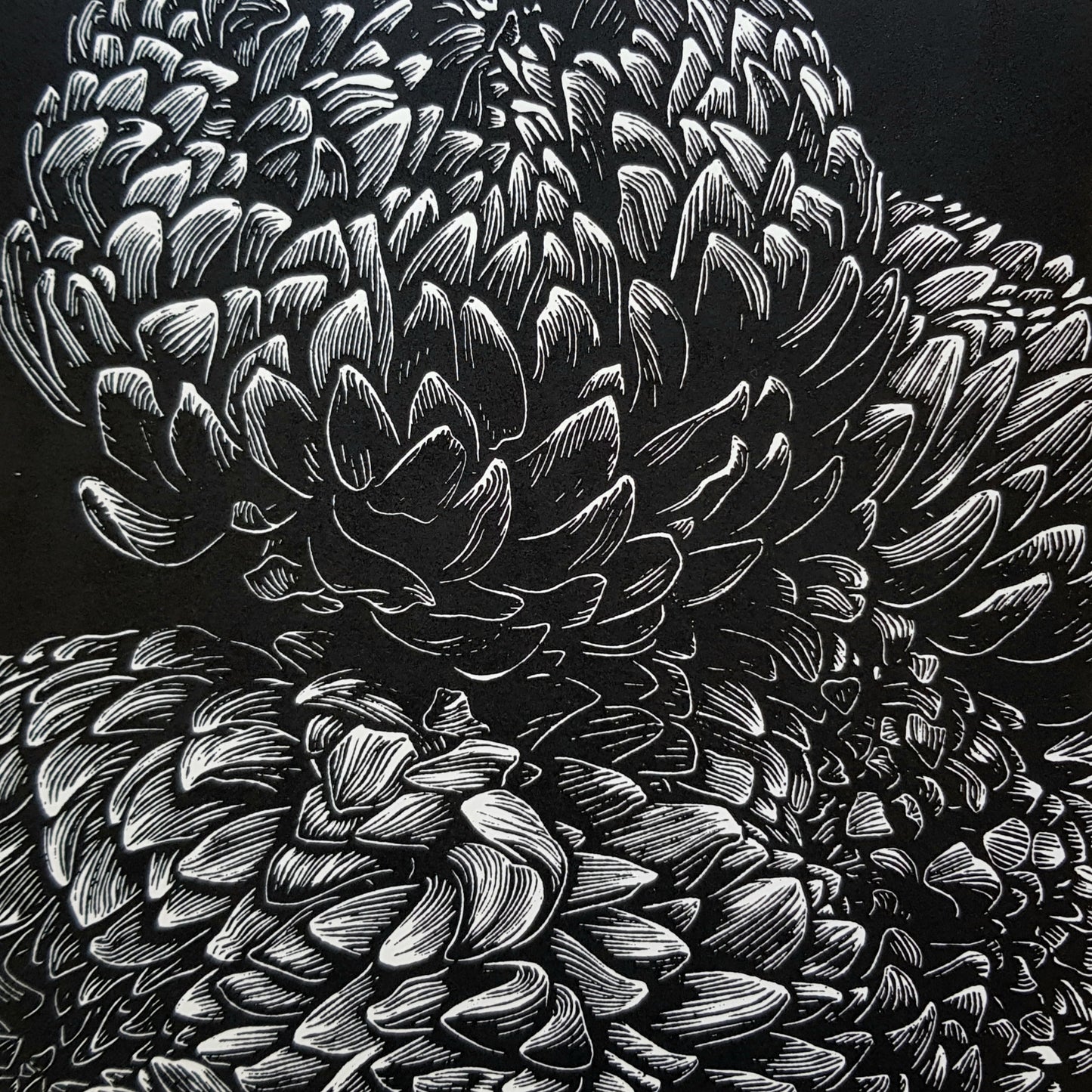 Chrysanthemum linocut on natural lokta paper