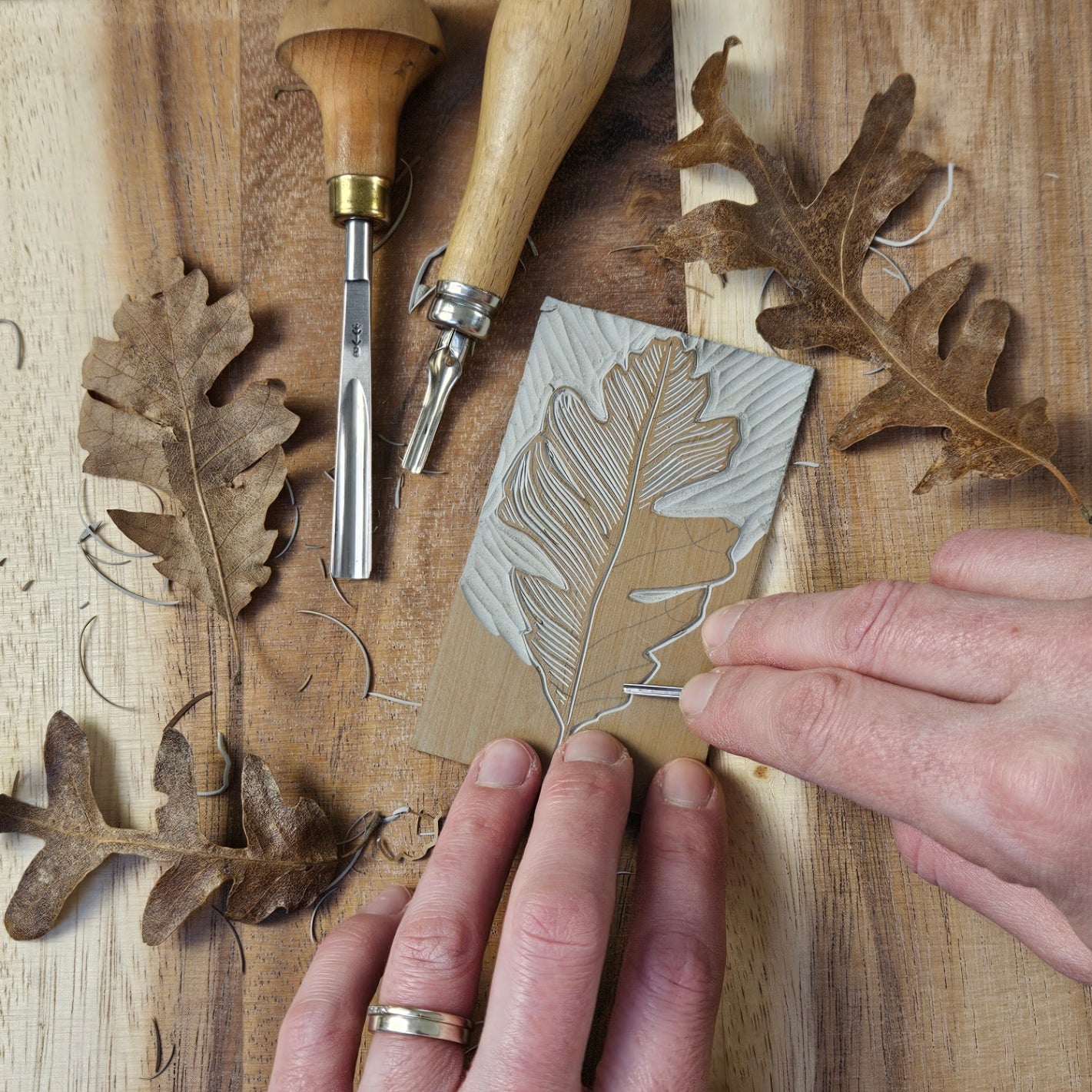Linocut at Langford Lakes - Develop your skills - 25th April 2026