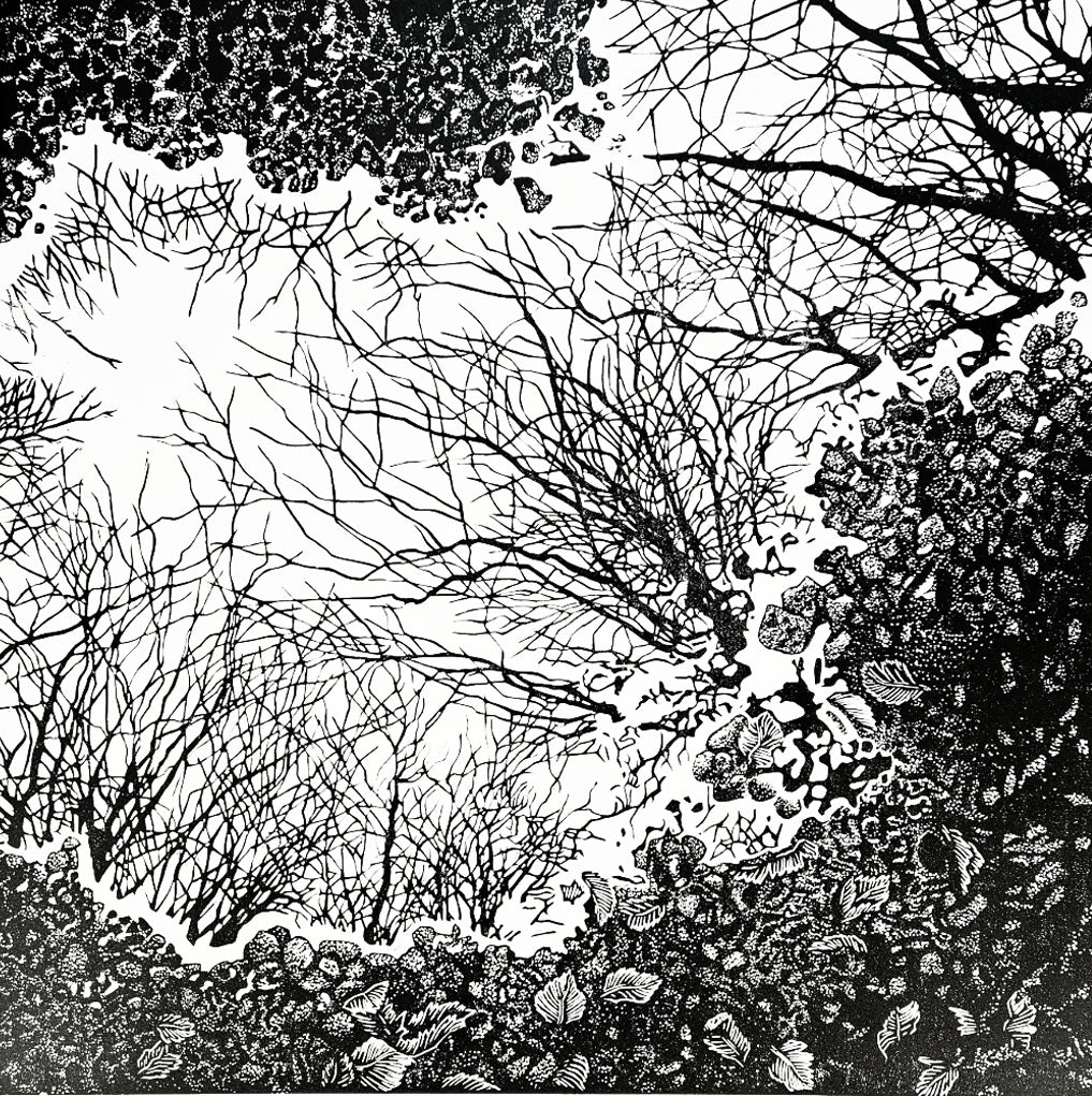 linocut reflections of trees in a puddle