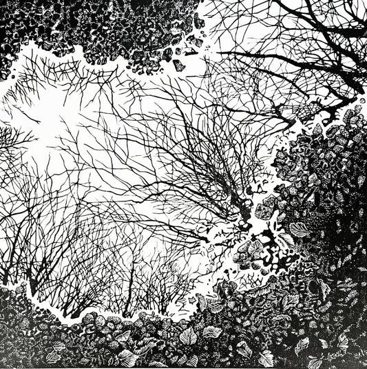 linocut reflections of trees in a puddle