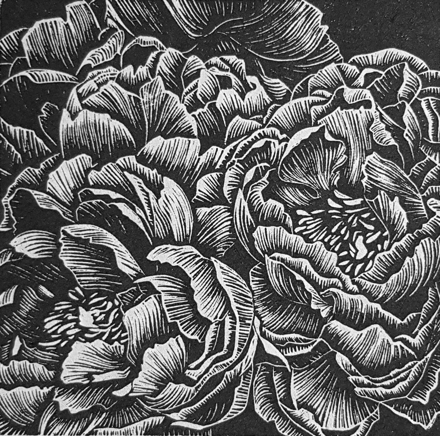 Black and white linocut of floral design