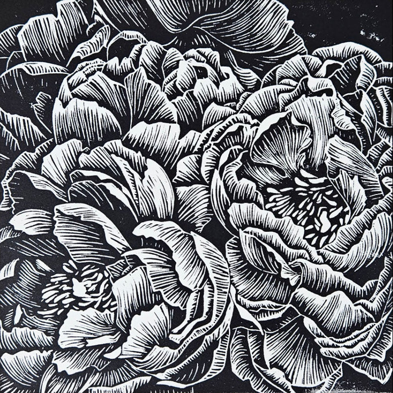 Bunch of peonies in black and white