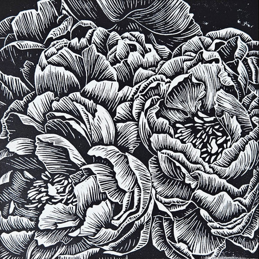 Bunch of peonies in black and white