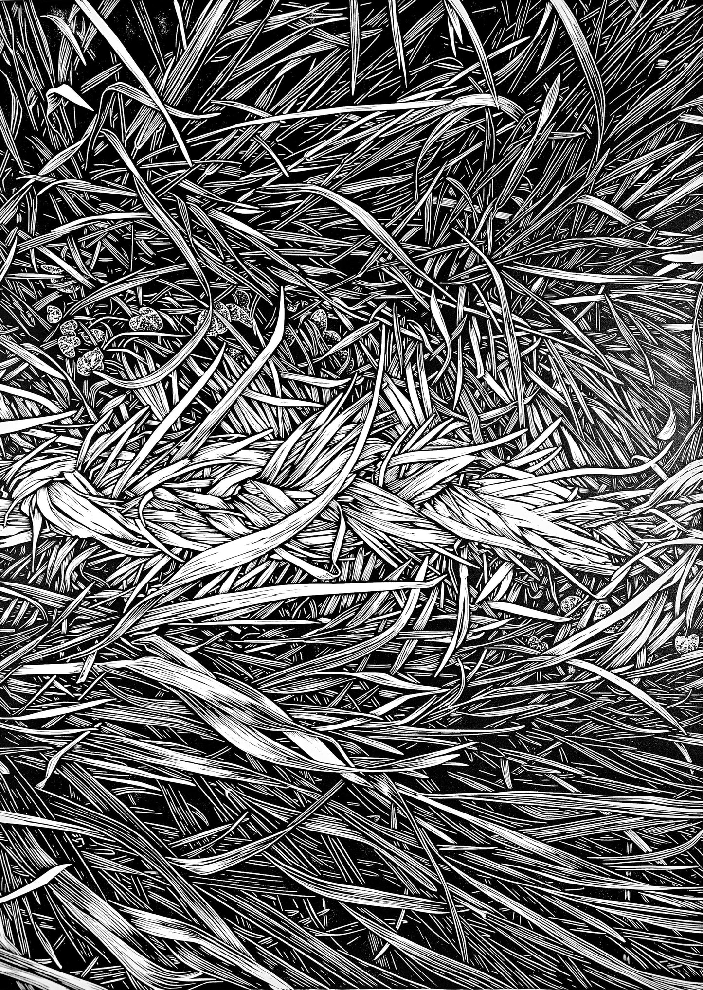 black and white linocut of braided meadow grass