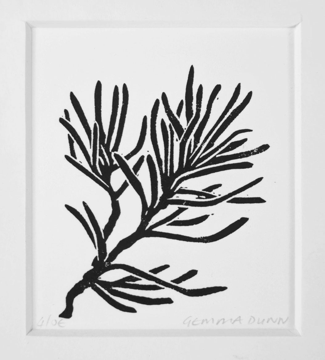 Black and white linocut of evergreen leaves