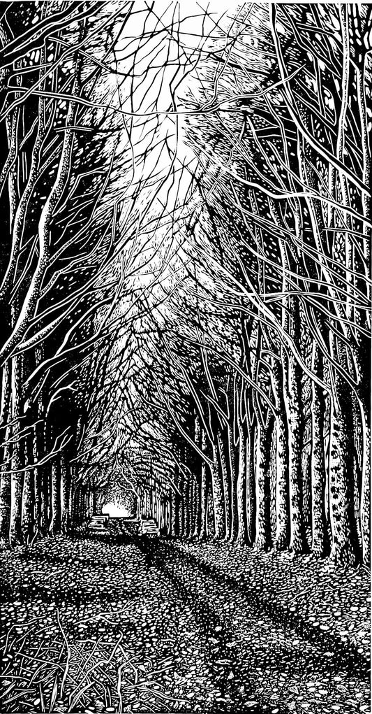 Black and white linocut of a forest path lined with trees