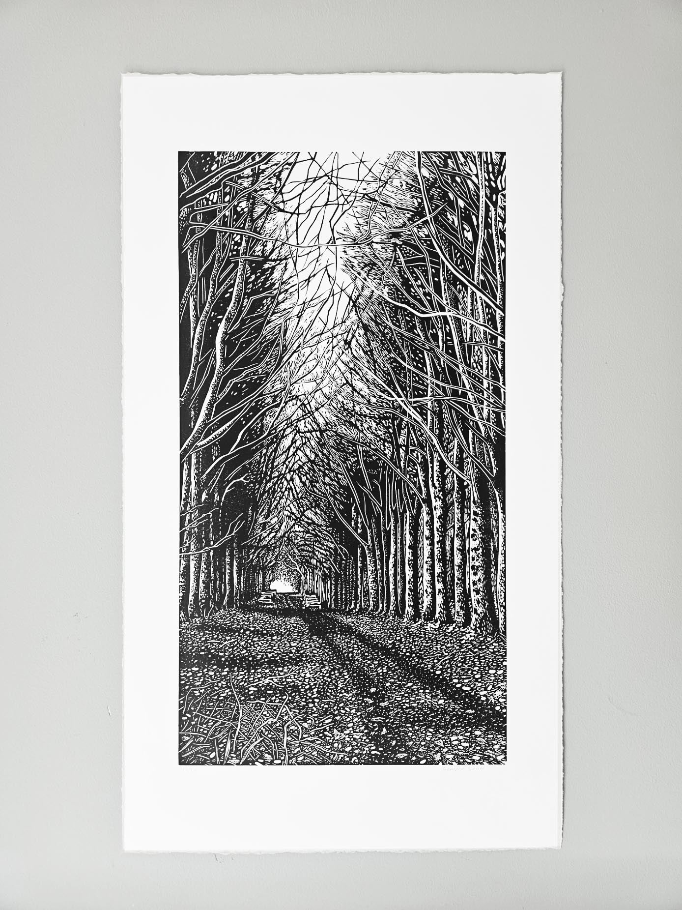 British woodland scene