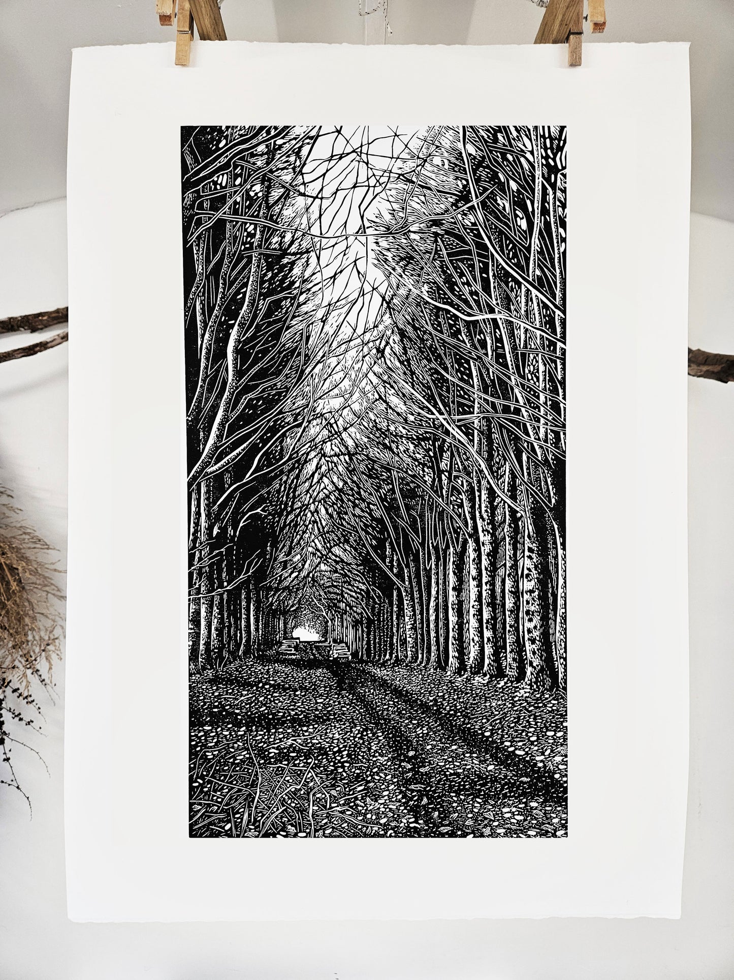 Grovely Woods linocut on white