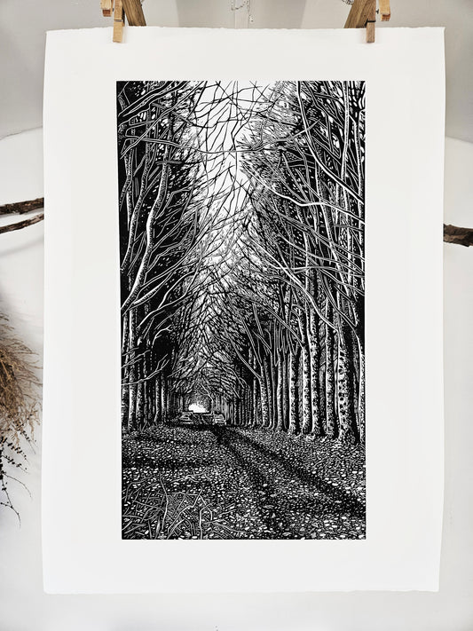 Grovely Woods linocut on white