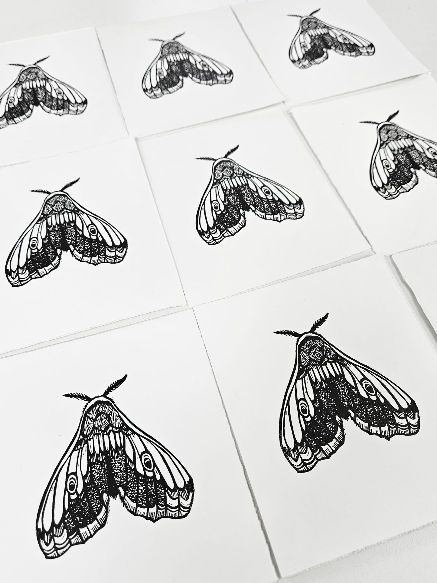 Hawkmoth linocut