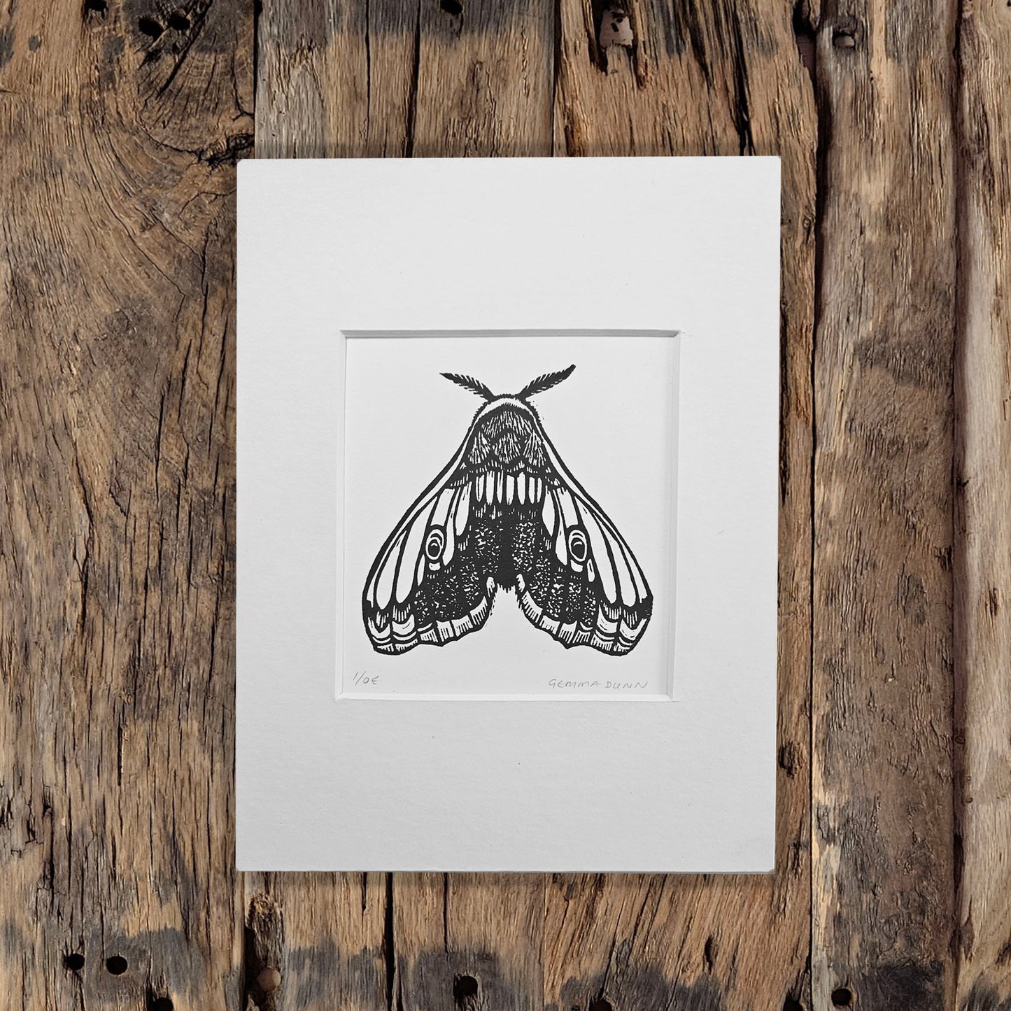 Hawkmoth linocut