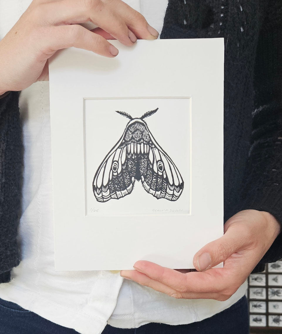 Hawkmoth linocut
