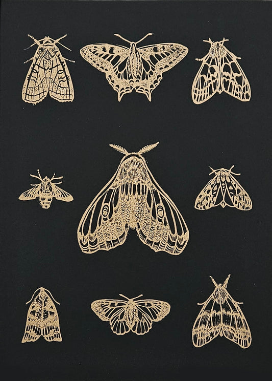 Moths and Butterflies linocut black and gold