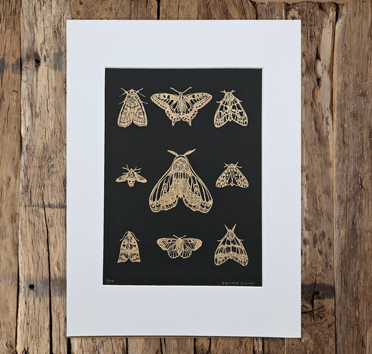 Moths and butterflies linocut gold on black