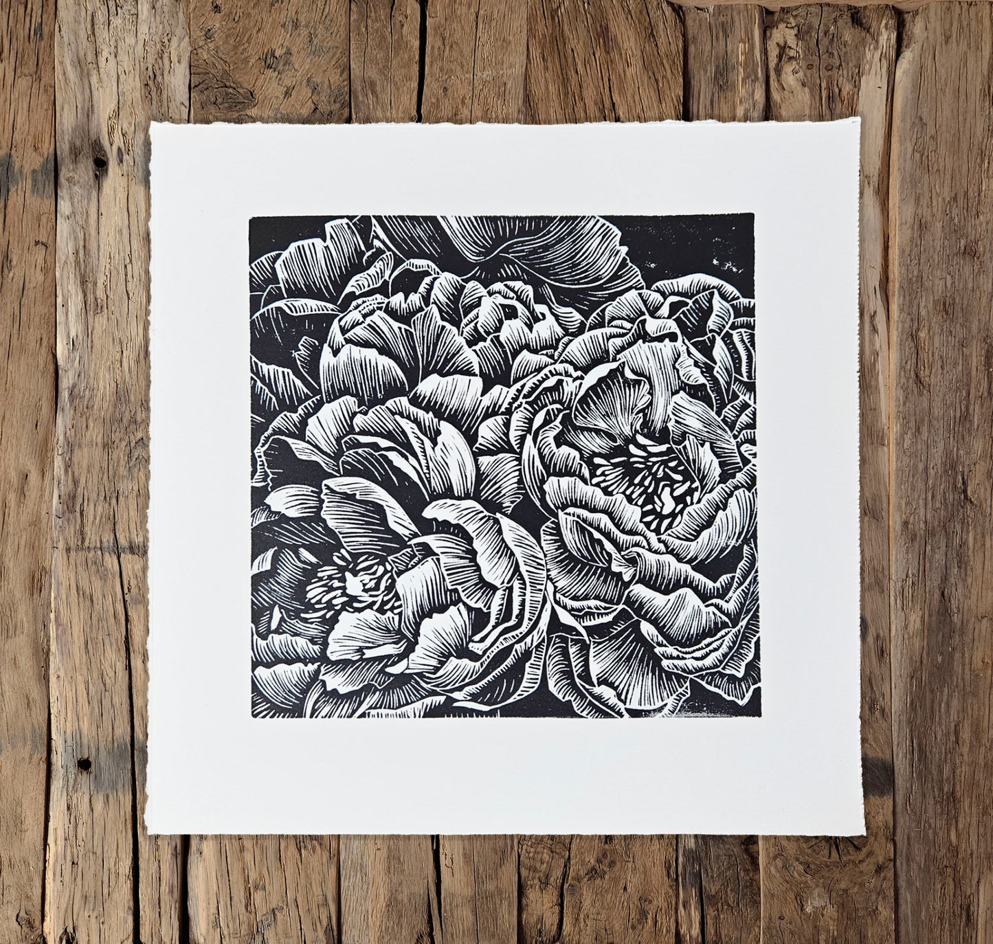 Bunch of Peonies linocut
