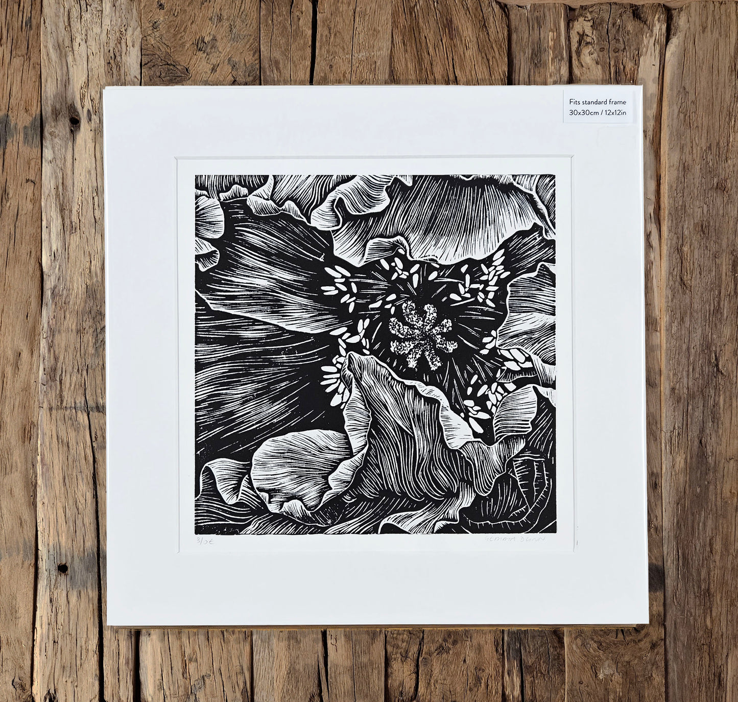 Poppy linocut on white