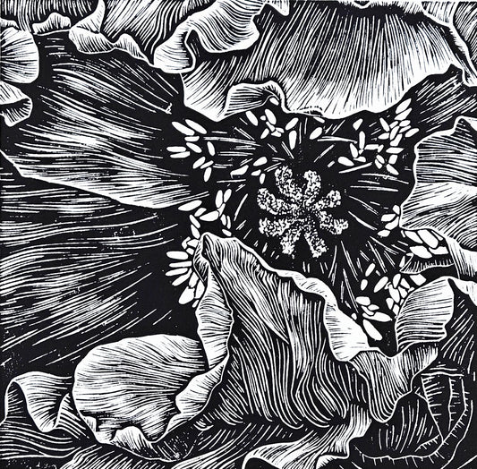 Poppy linocut