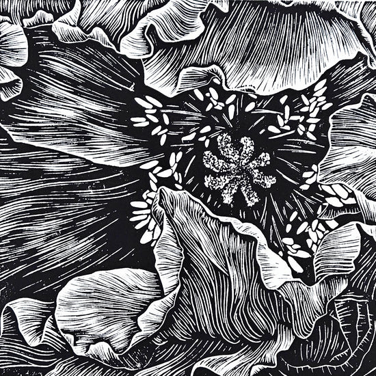 Poppy linocut reveal