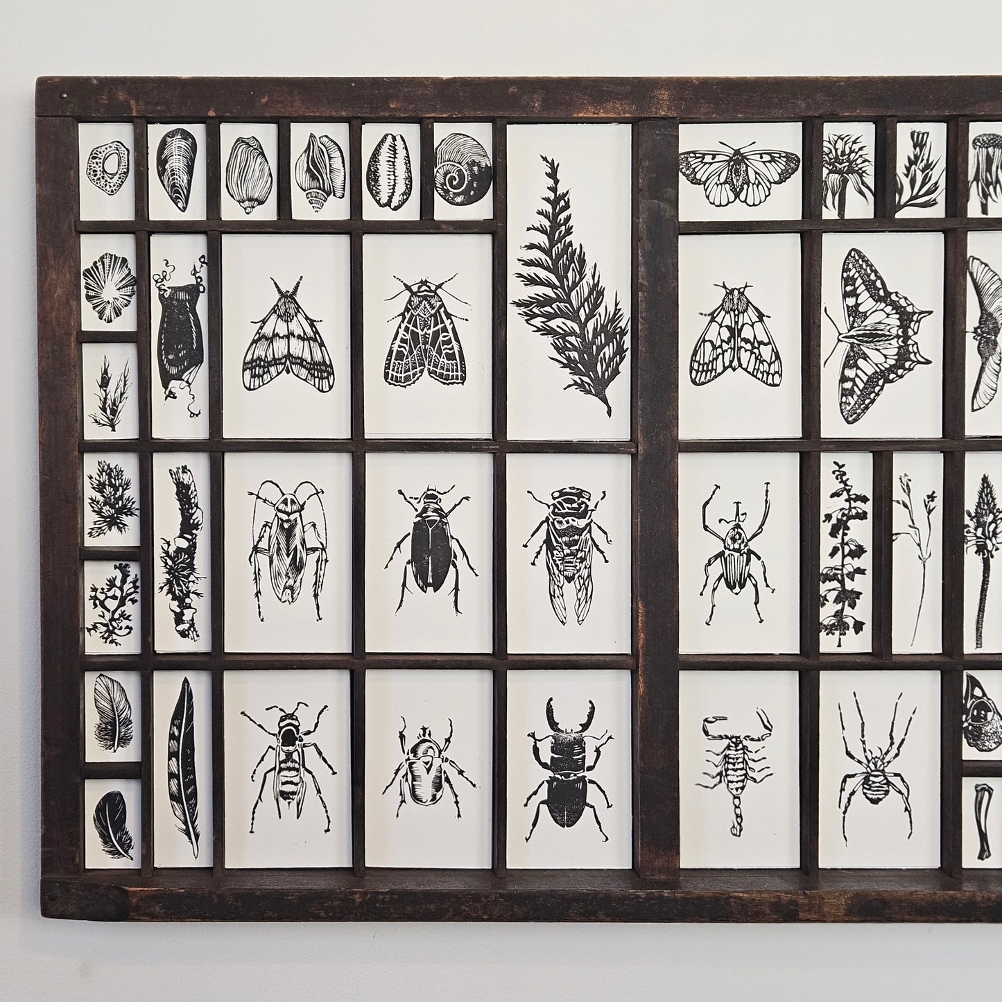 Treasures collection