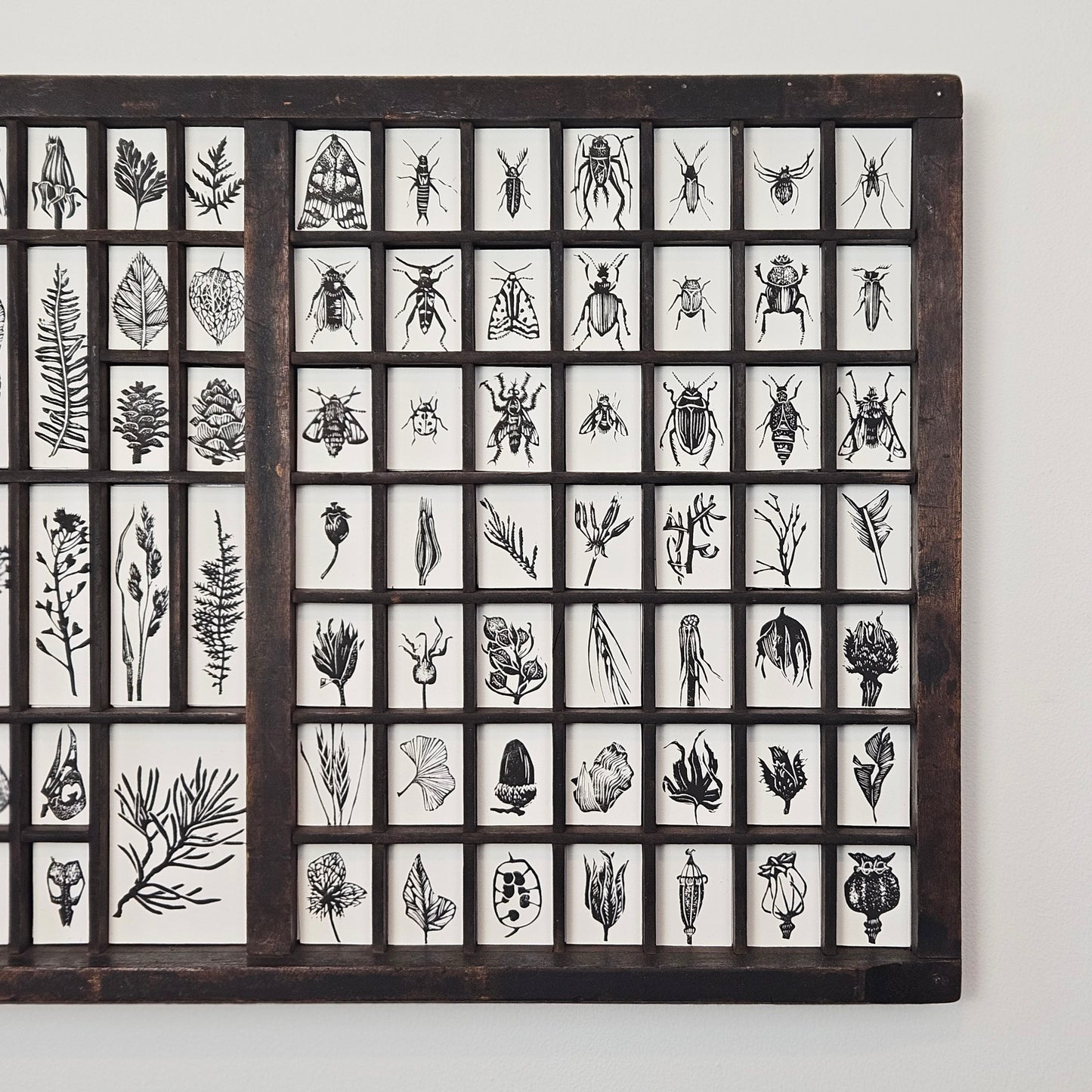 Treasures collection