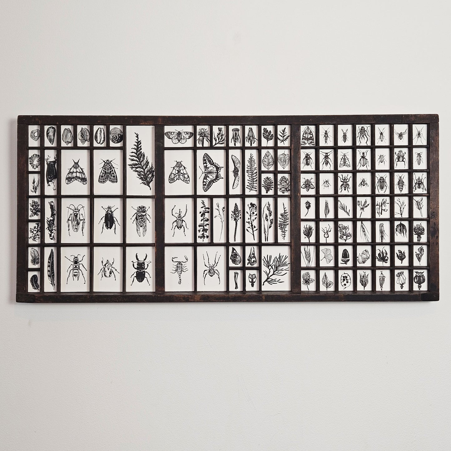 Treasures collection