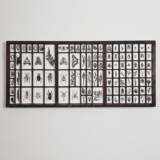 Treasures collection