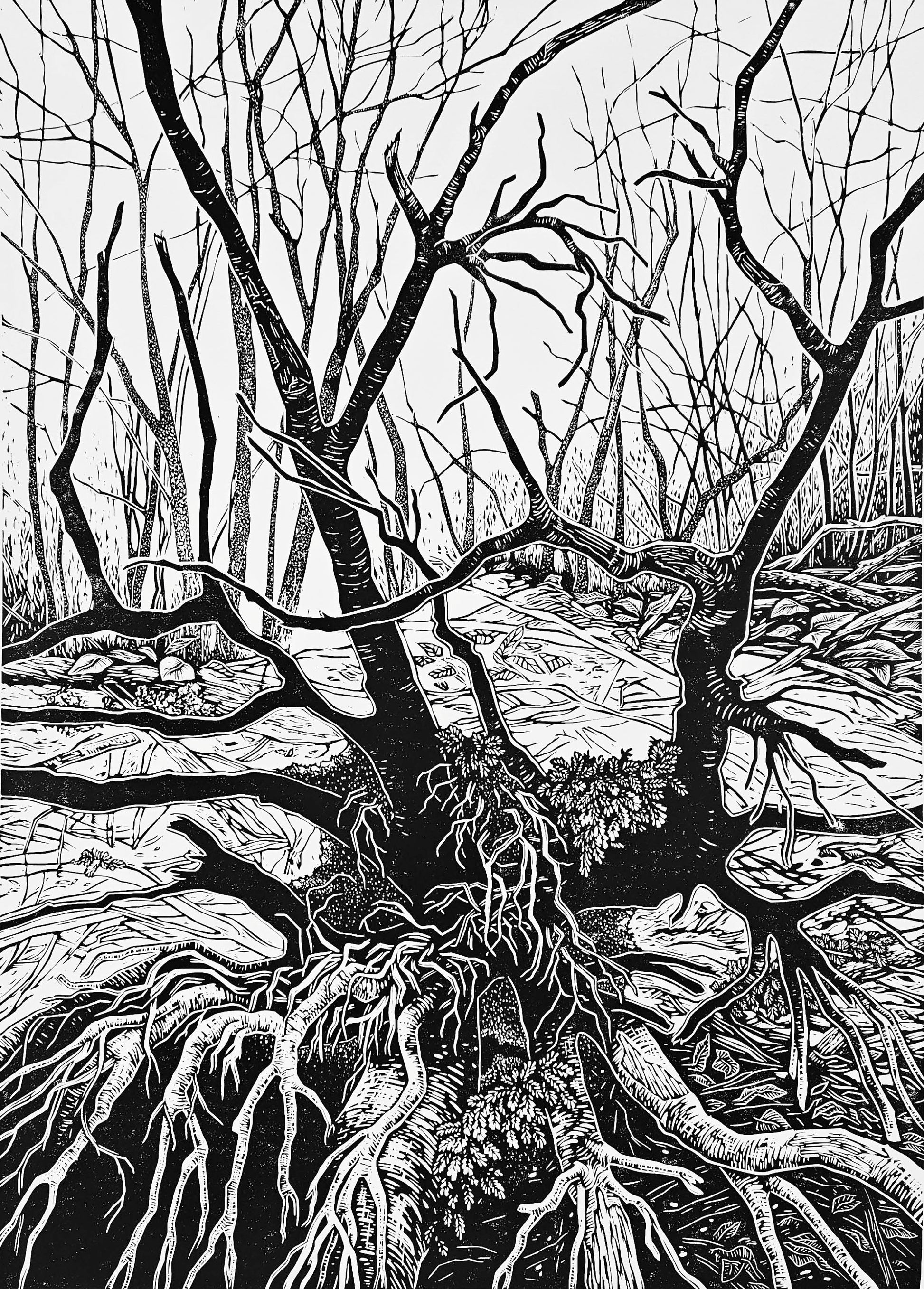 black and white linocut of intricate tree roots in a forest
