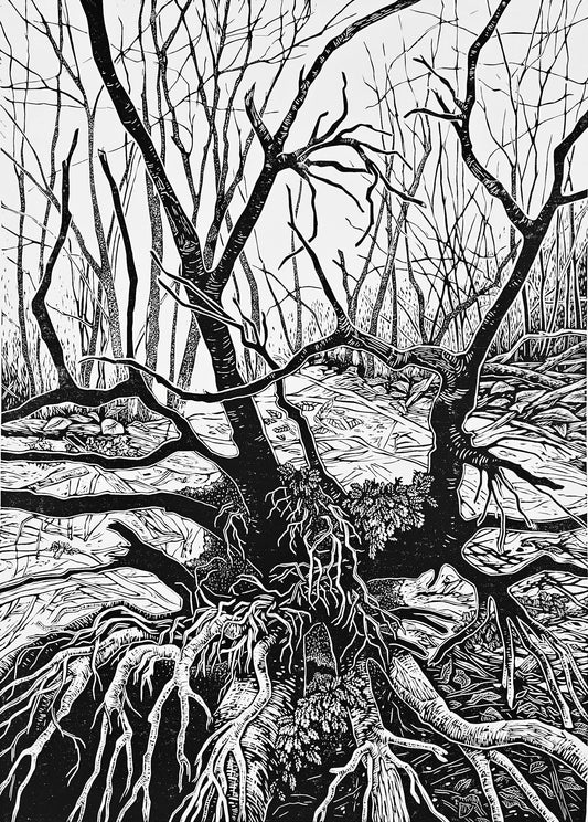 black and white linocut of intricate tree roots in a forest