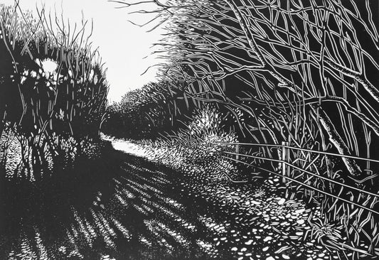 Black and white linocut of light through the trees