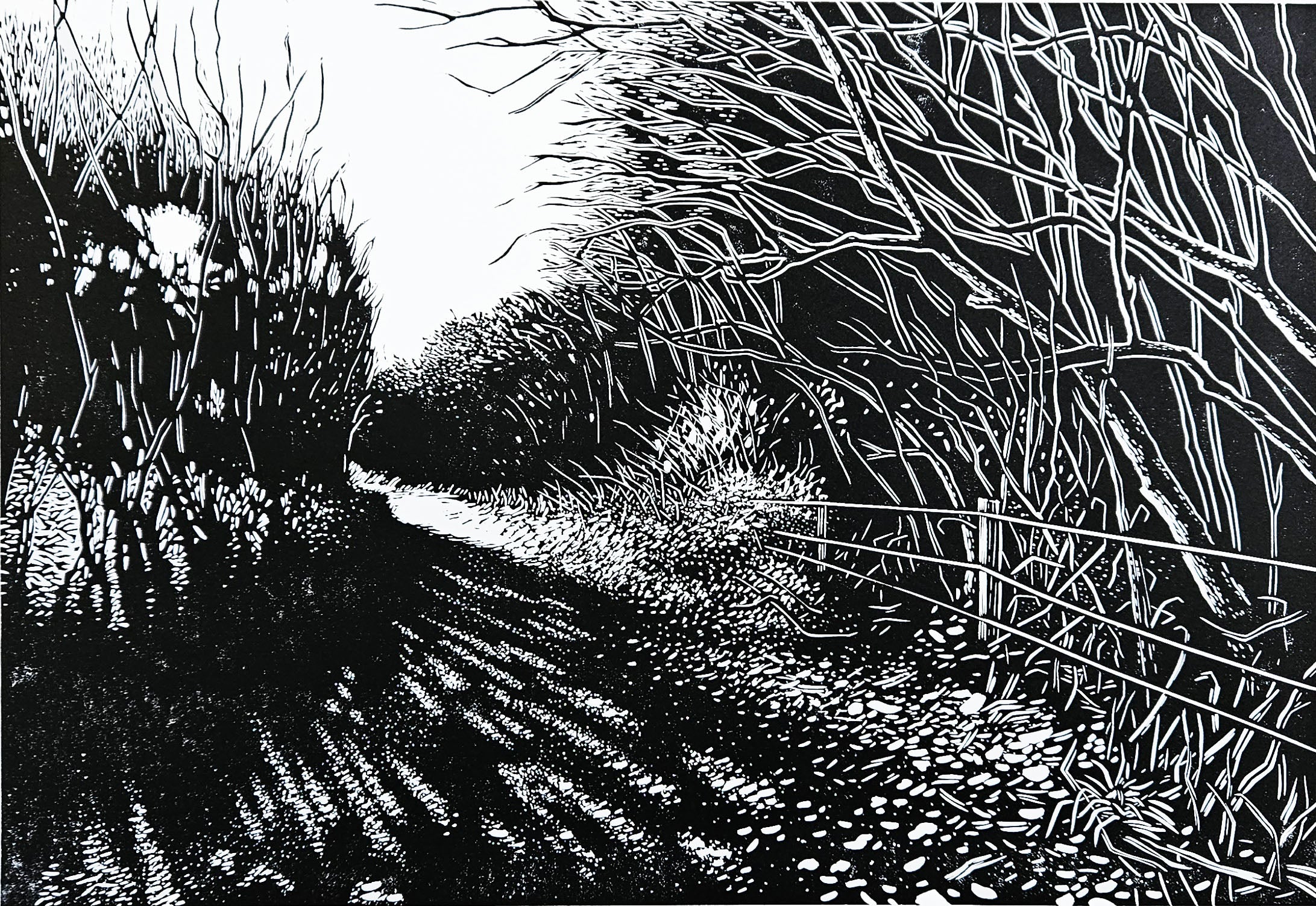 Black and white linocut of light on a path through the woods
